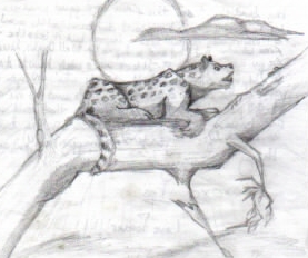 A jaguar thingy